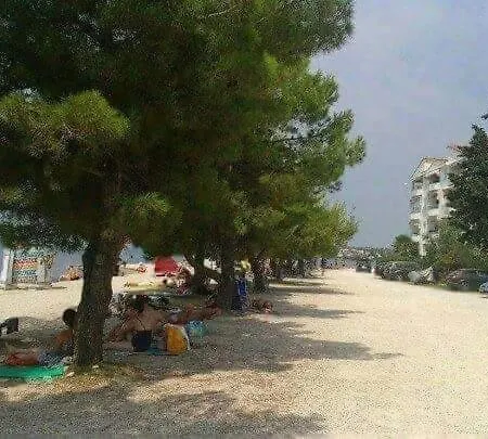 Milka * Zadar